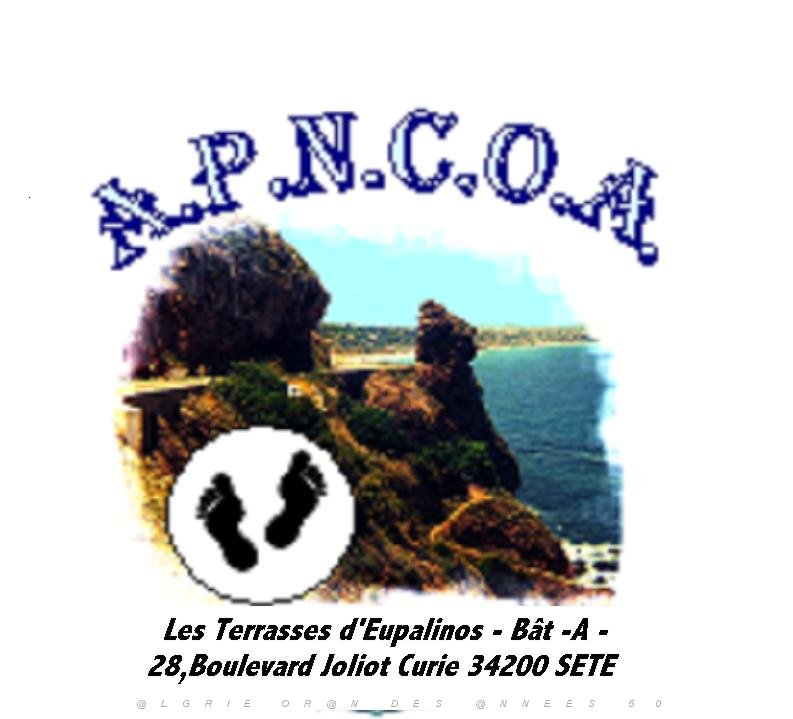 APNCOA 002.jpg